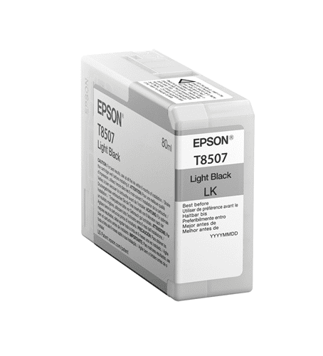 T850700 Epson 850 Light Black Original Ink Cartridge - toners.ca