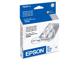 T059720 Epson Light Black Original Ink Cartridge - toners.ca